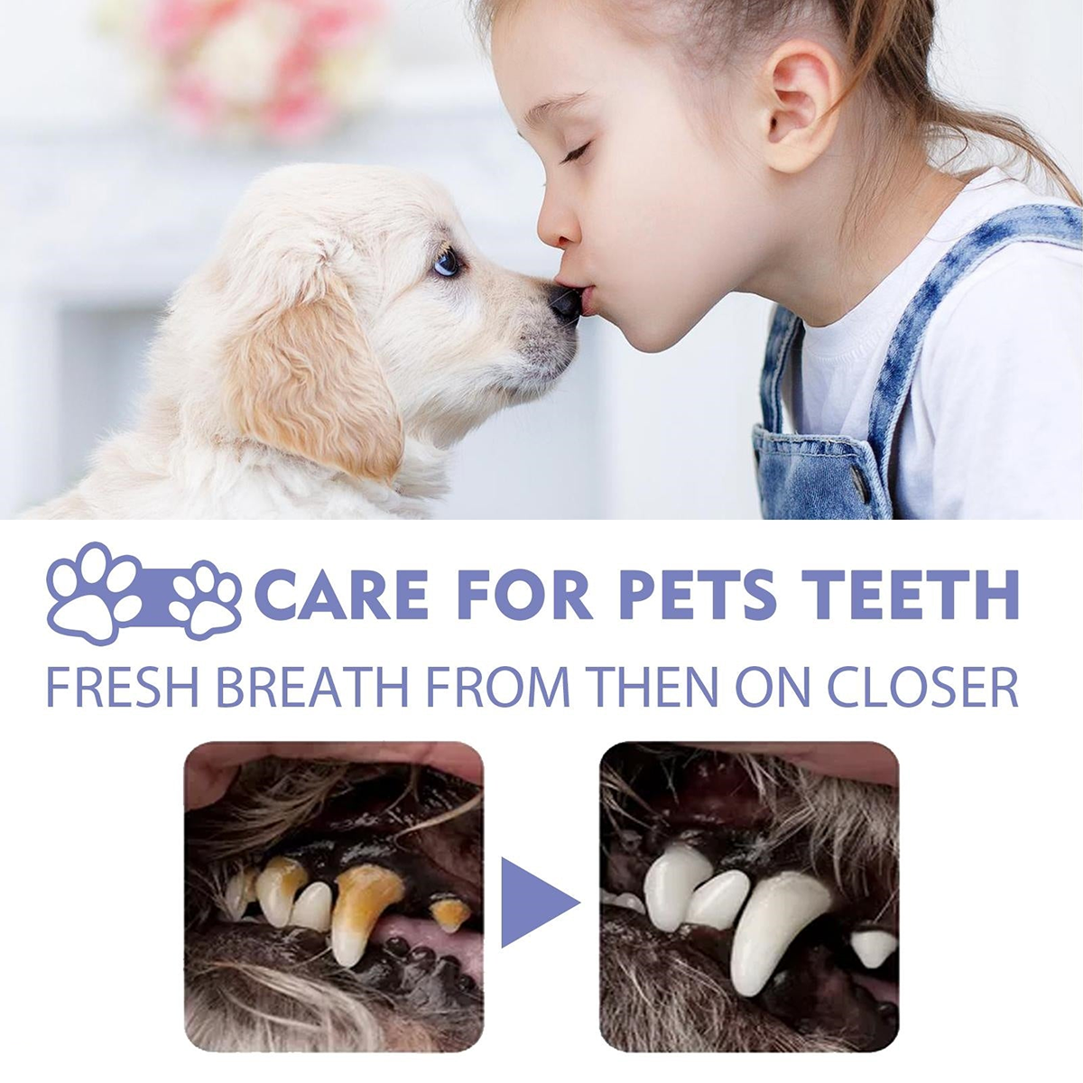 Hopmvia™ Pet Dental Care Spray – Dental Care & Fresh Breath