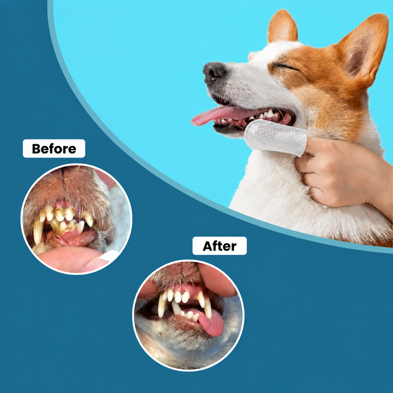 Pet-specific wipes, pet teeth-cleaning finger cots, non-woven wipes, disposable finger toothbrushes for dogs and cats, oral cleaning and tartar removal.