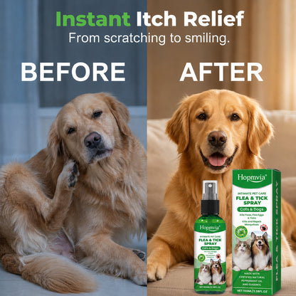 💥Gentle-formula pest repellent spray for pets—protect your pet from pests.😾