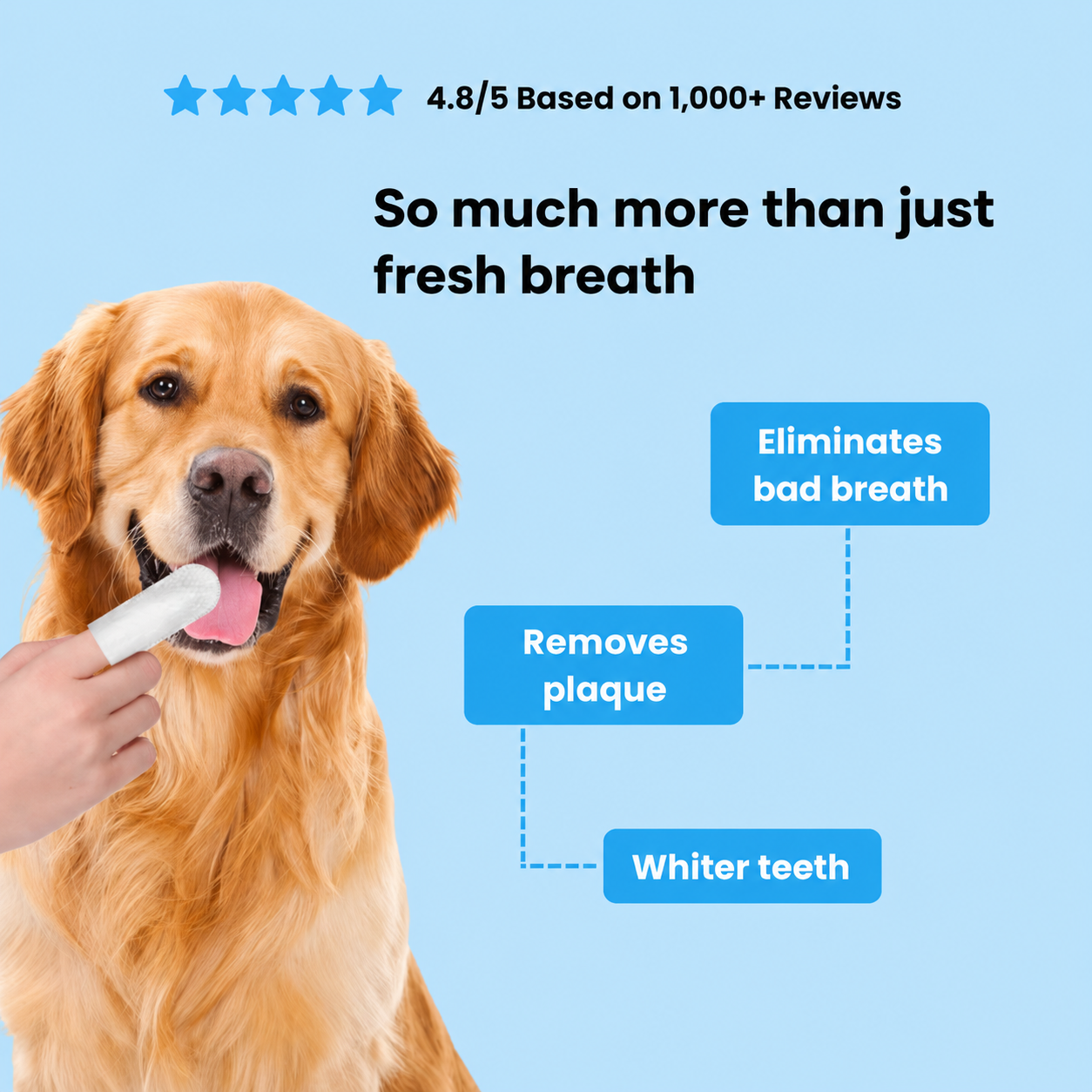 Pet-specific wipes, pet teeth-cleaning finger cots, non-woven wipes, disposable finger toothbrushes for dogs and cats, oral cleaning and tartar removal.