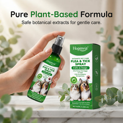💥Gentle-formula pest repellent spray for pets—protect your pet from pests.😾