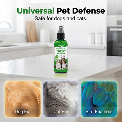 💥Gentle-formula pest repellent spray for pets—protect your pet from pests.😾