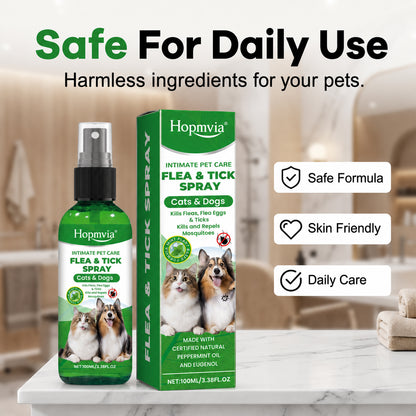 💥Gentle-formula pest repellent spray for pets—protect your pet from pests.😾
