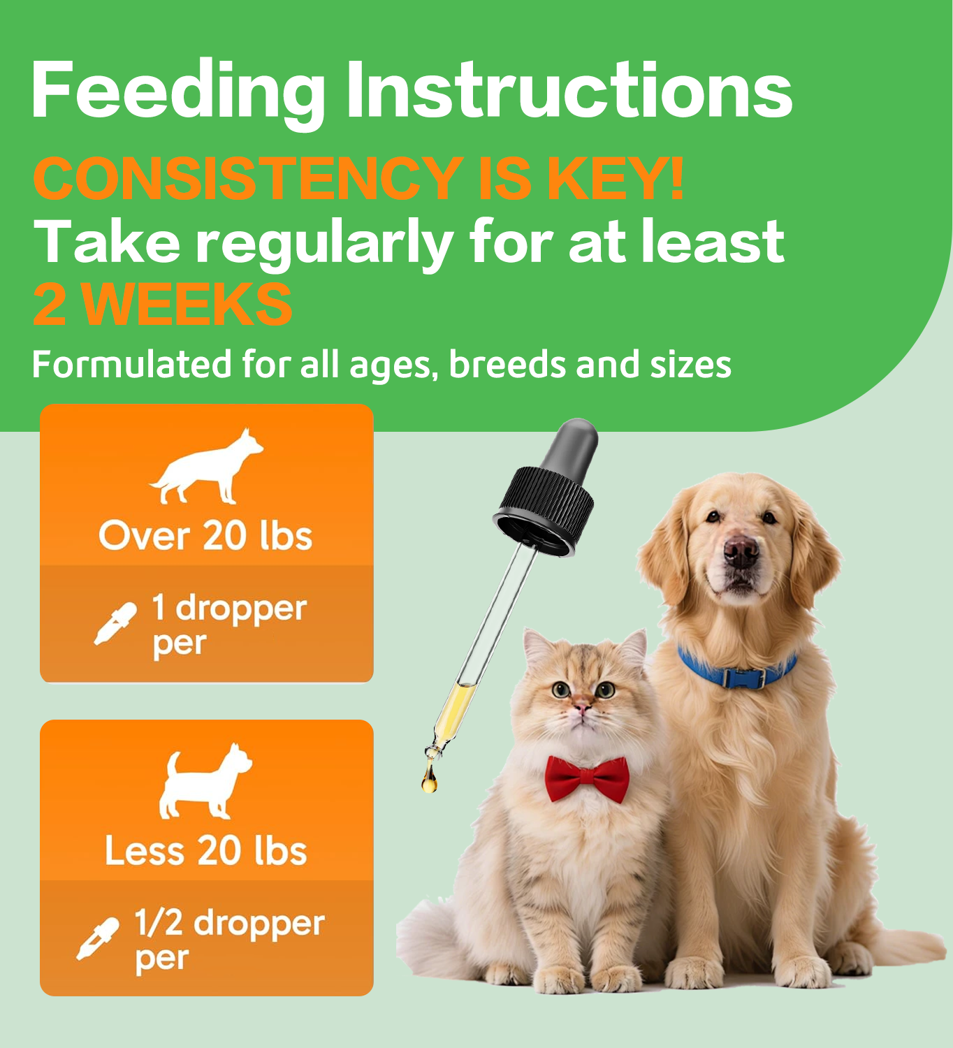 Hopmvia™Pet nutritional supplements to boost energy and vitality; pet body care supporting hip, joint, skin, and coat health—suitable for puppies and senior dogs.