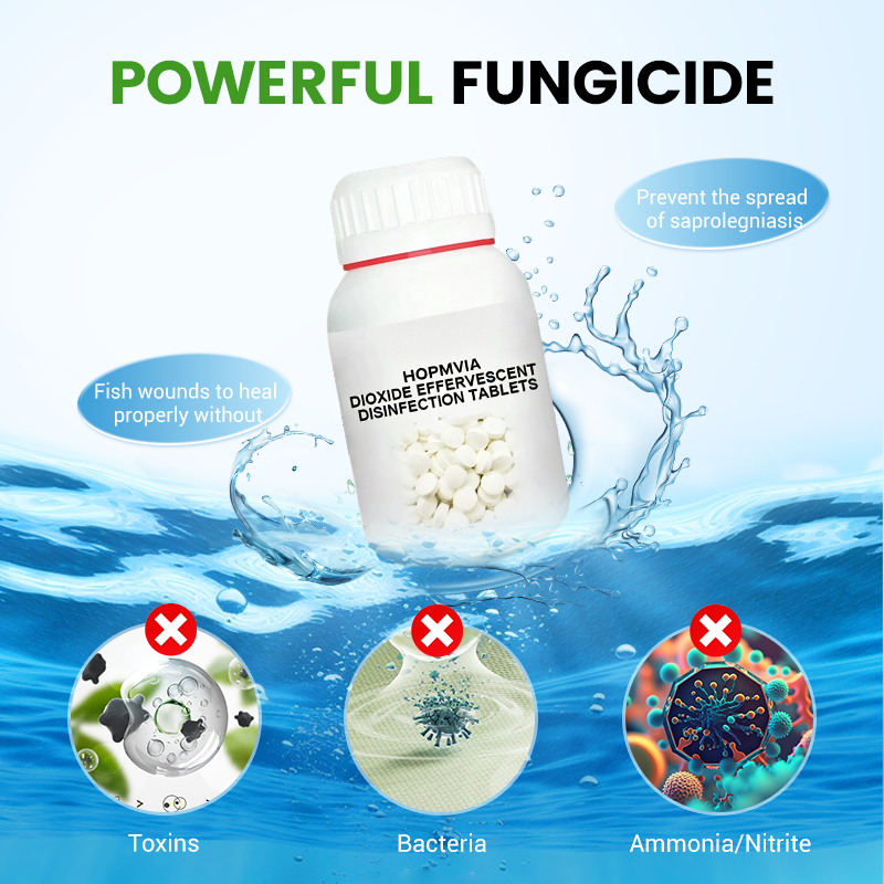 Chlorine dioxide effervescent disinfection tablets—making your ponds and fish tanks cleaner and your fish healthier.