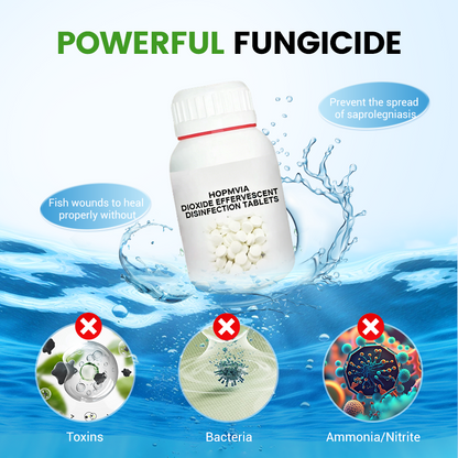 Chlorine dioxide effervescent disinfection tablets—making your ponds and fish tanks cleaner and your fish healthier.