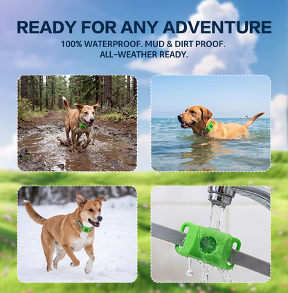 Hopmvia™ – 12 months of natural flea and tick protection; the top choice for outdoor mosquito defense for pets.