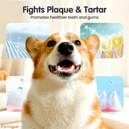 Hopmvia™ Pet Dental Care Spray – Dental Care & Fresh Breath