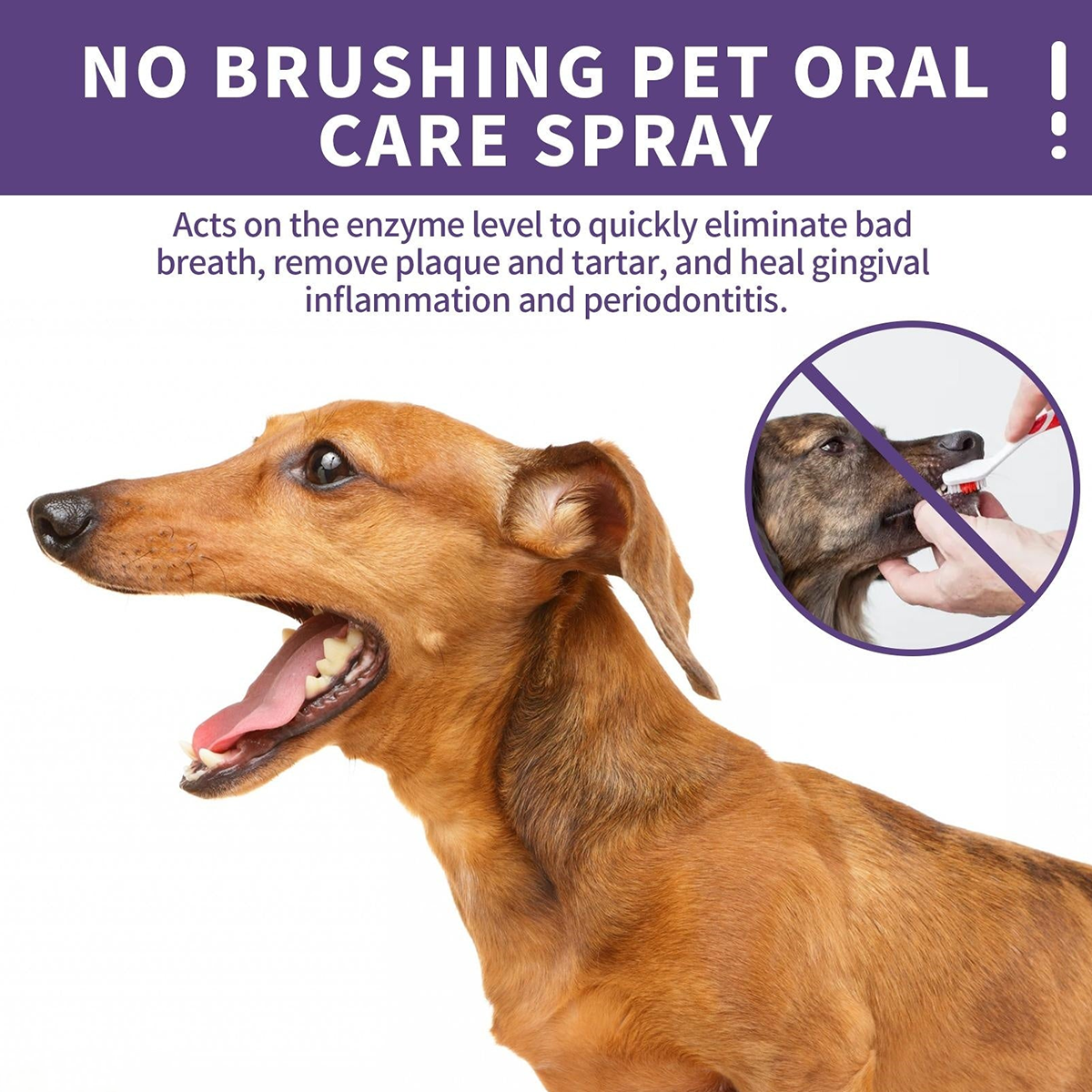 Hopmvia™ Pet Dental Care Spray – Dental Care & Fresh Breath