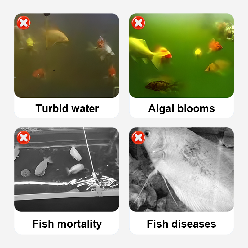 Chlorine dioxide effervescent disinfection tablets—making your ponds and fish tanks cleaner and your fish healthier.