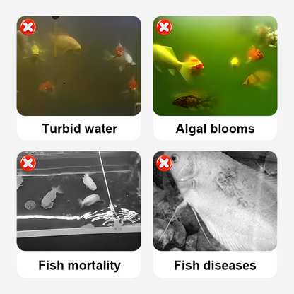 Chlorine dioxide effervescent disinfection tablets—making your ponds and fish tanks cleaner and your fish healthier.