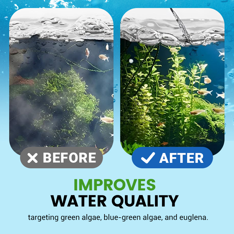 Chlorine dioxide effervescent disinfection tablets—making your ponds and fish tanks cleaner and your fish healthier.