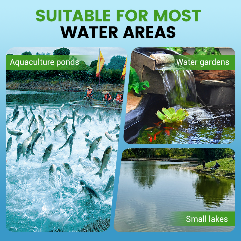 Chlorine dioxide effervescent disinfection tablets—making your ponds and fish tanks cleaner and your fish healthier.
